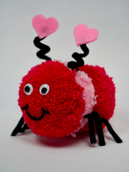 Love Bug Valentine Gift