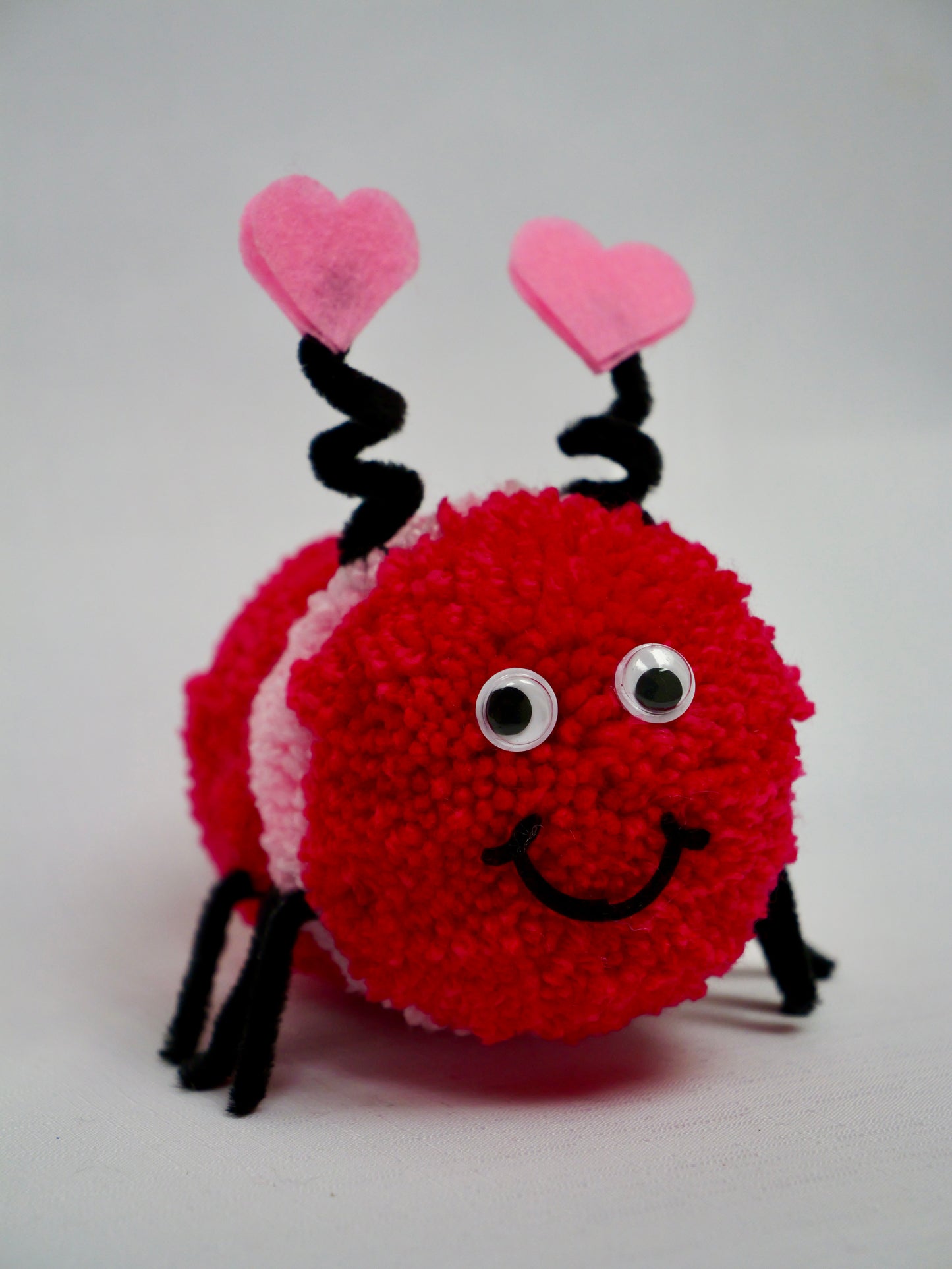 Love Bug Valentine Gift