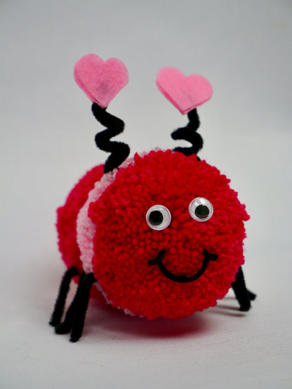 Love Bug Valentine Gift