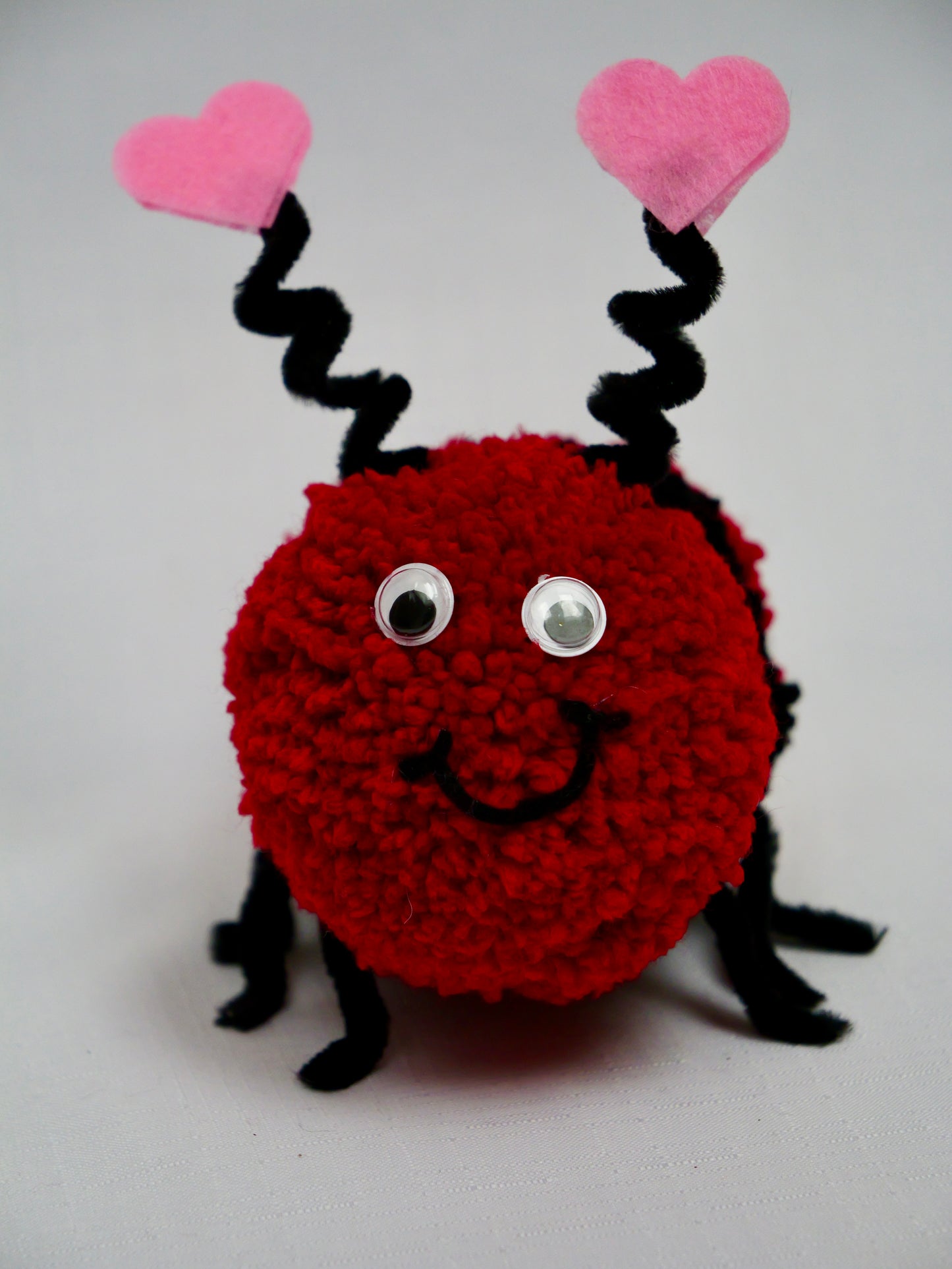 Love Bug Valentine Gift