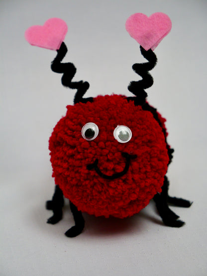Love Bug Valentine Gift