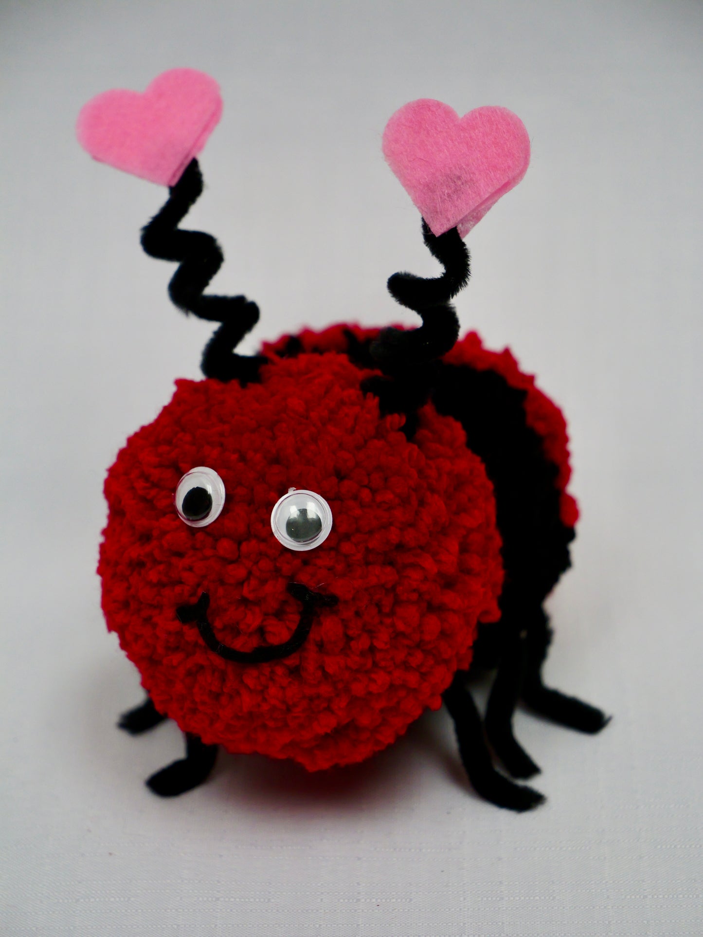 Love Bug Valentine Gift
