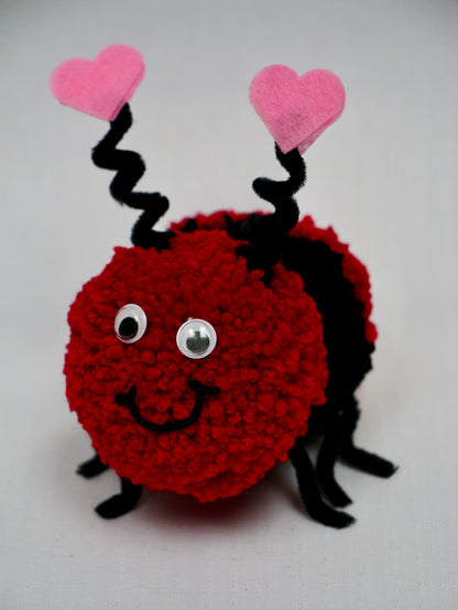 Love Bug Valentine Gift