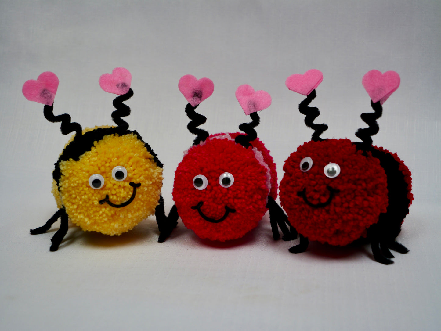 Love Bug Valentine Gift