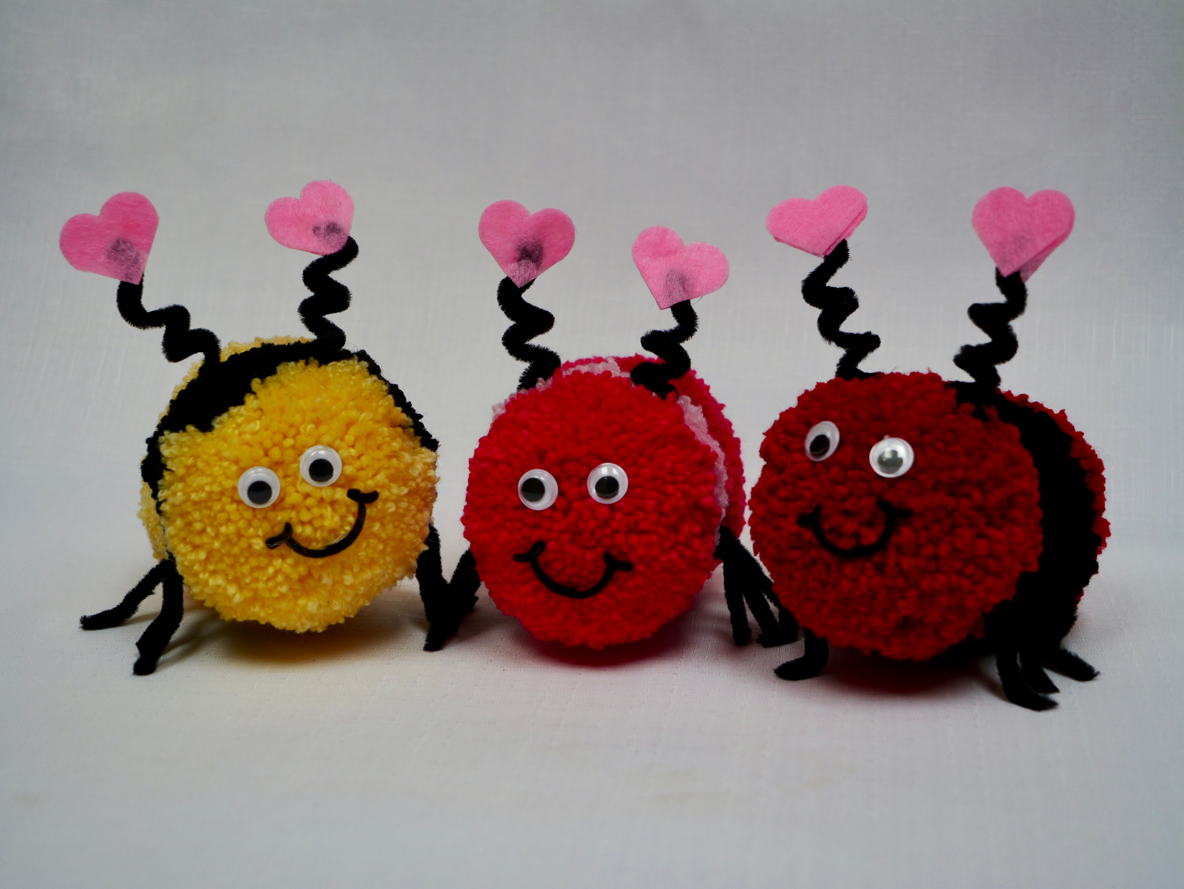 Love Bug Valentine Gift