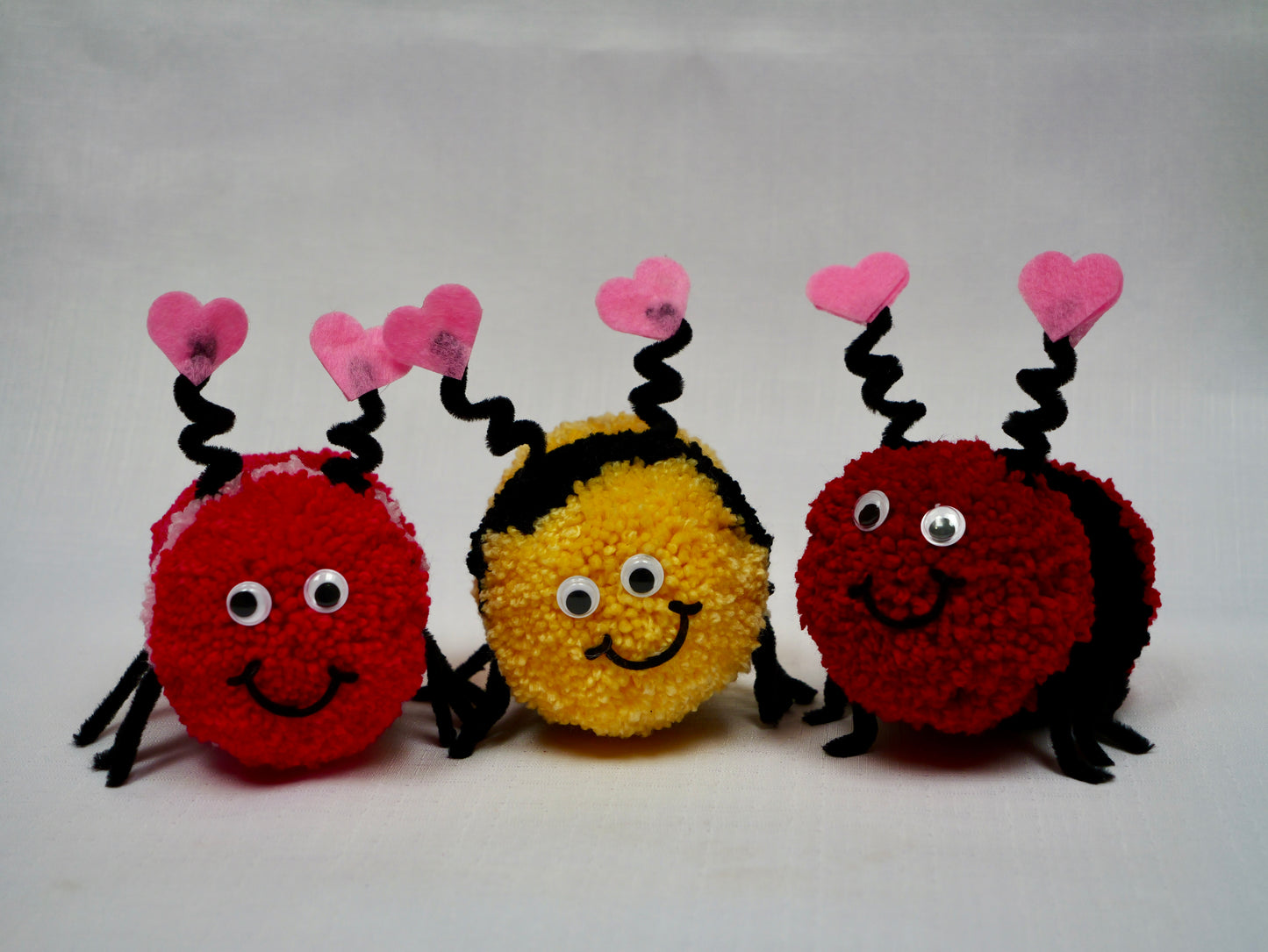 Love Bug Valentine Gift
